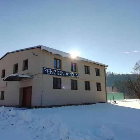 Penzion Adela รอชนอฟ ป็อด ราดโฮชติเย็ม ภายนอก รูปภาพ